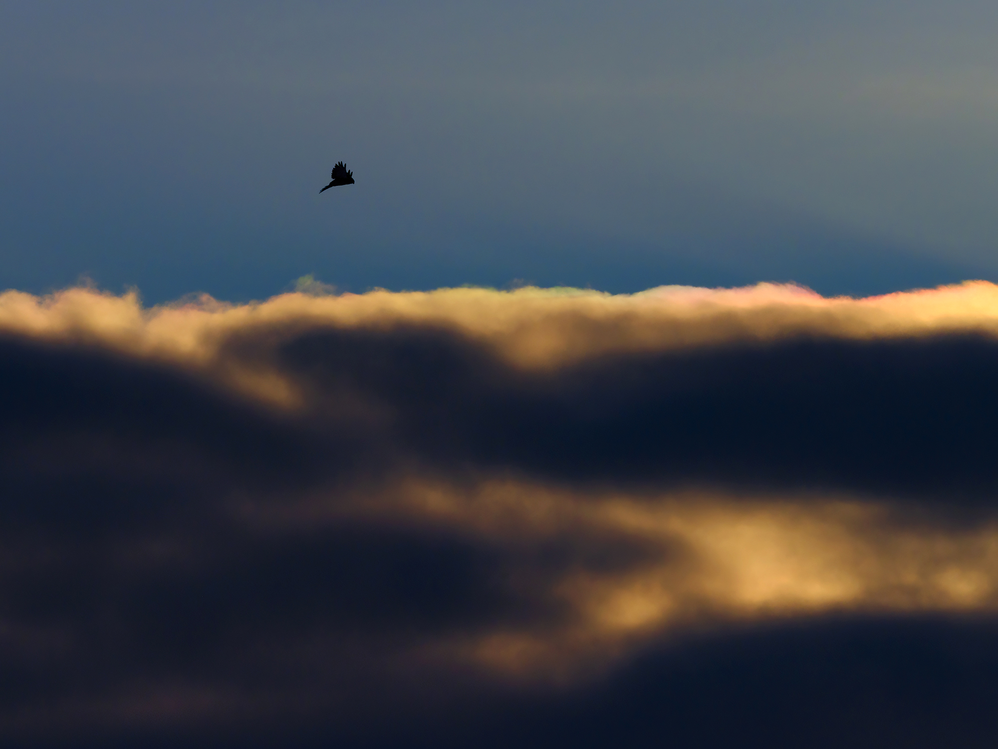 Über den Wolken!